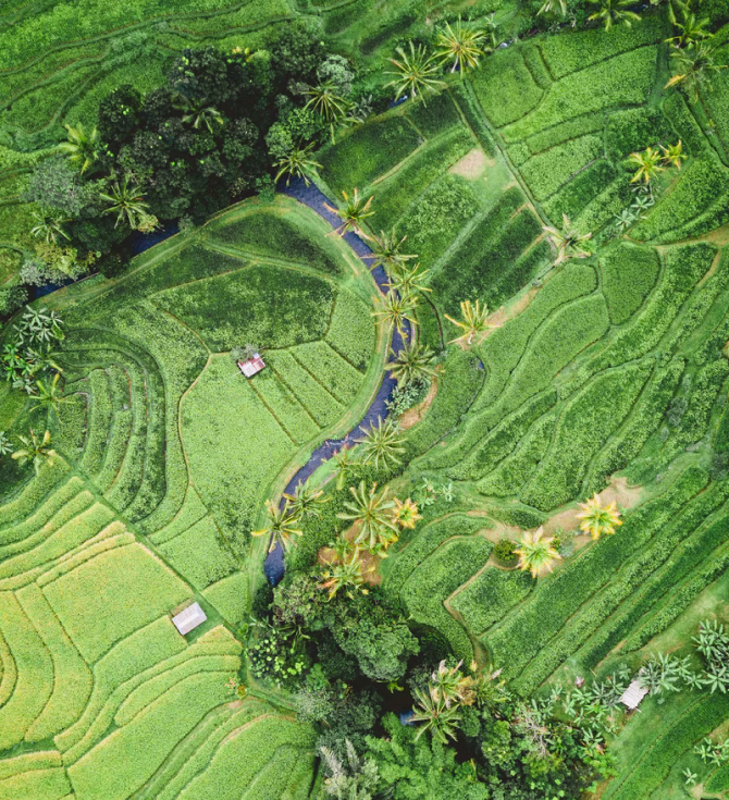 Our Policy Documents