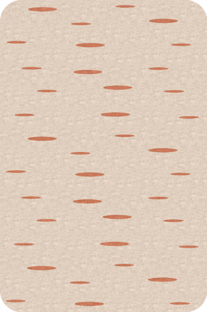OVNIS BRONZE