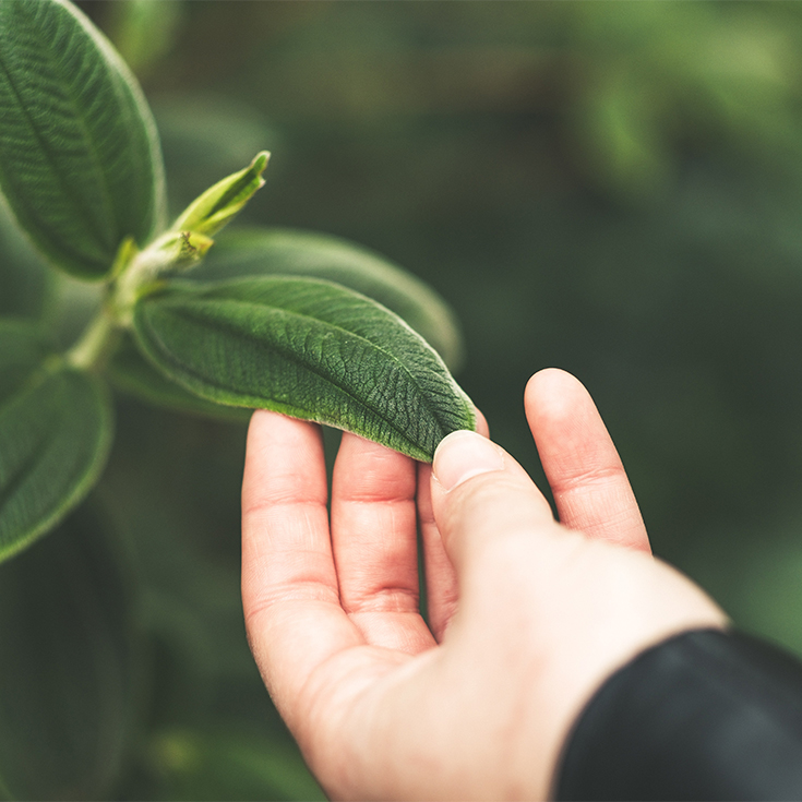 Sustainable World of Rugs