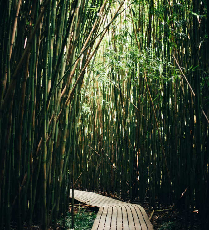 Operating with sustainability and compassion requires sound operational processes and procedures, and a culture of accountability. We’re happy to share the policy documents underpinning several of our core principles.